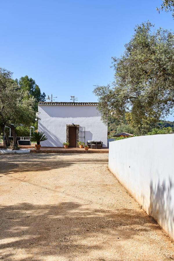 Mimosas Villa Ronda